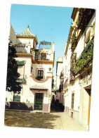 Cartolina Postale - Spagna - Sevilla - Viaggiata - Sevilla