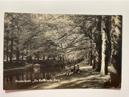 Netherlands Nederland Oosterbeek Gelderland De Hemelsche Berg Goose Desk Pond Park 17078 Post Card POSTCARD - Oosterbeek