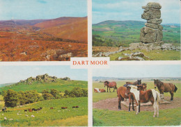 (ANG706) DART MOOR, PONIES ... UNUSED - Dartmoor