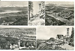 Postal Suiza. Uetliberg. Varias Vistas. 7-sui129 - Berg