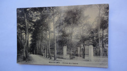 Beauchamp , Avenue Des Sapins - Beauchamp