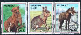 PARAGUAY / ANIMALS / 3 VF USED STAMPS . - Konijnen