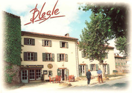 43 Hte Haute Loire - CPM - BLESLE - Hôtel-Restaurant La Bougnate - Françoise Gérard KLEIN - Sianne Voireuse - Blesle