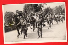 ZWV-40 Schweizer. Armee Armée Suisse, Manoeuvres Avec Chevaux Et Mulets Manöver. NC Photo Kunz Villars Sur Ollon - Ollon