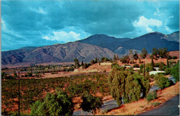 California Yucaipa San Bernardino Mountains Viewed From Flagg Hill - San Bernardino