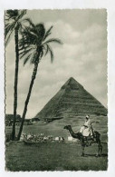 AK 162563 EGYPT - The Chefren Pyramid - Pyramiden