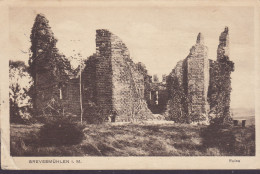 Deutsches Reich PPC Grevesmühlen I. M. Ruine Verlag Fr. Pelle, Grevesmühlen GREVESMÜHLEN (MECKLB.) 1917 Germania - Grevesmühlen