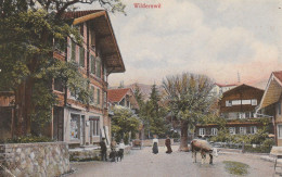 WILDERSWIL - Wilderswil