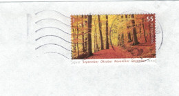 BZ 50 Buchenwald Herbst Laub Verfärbung Tod - Hitzeresistenz - Nature