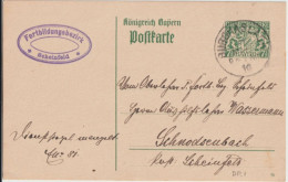 1868 - BAYERN - CP ENTIER POSTAL De SERVICE - DIENSTMARKE ! De BURGHASLACH ! => SCHEINFELD - Enteros Postales