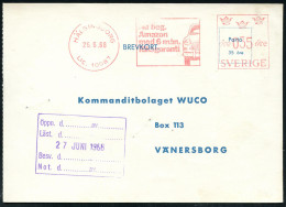 SCHWEDEN 1968 (26.6.) AFS: HÄLSINGBORG/LIC.10087/..Amazon..6 Man/Riksgaranti (= Volvo Amazon) Auf  Werkstatt-Kt Für Eine - Voitures