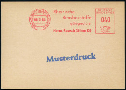 (22b) WEISSENTHURM (KR KOBLENZ)/ Rhein./ Bimsbaustoffe/ Gütegeschütz/ Herm.Rausch Söhne KG 1959 (9.3.) AFS 040 Pf. Franc - Chemistry