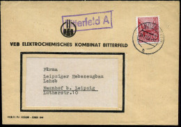 Bitterfeld A 1956 (24.11.) Viol. Ra. = PSt.II = Hauspostamt Elektrochem. Kombinat Bitterfeld + Apt. 2K-Steg: BITTERFELD/ - Chimie