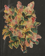 Découpis Gaufrée Fleur Année 1900 - Fleurs