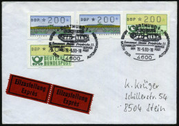 4600 DORTMUND 1/ NAPOSTA93/ Sanssouci Skizze Friedruchs II... 1993 (19.5.) SSt = Skizze Schloß "Sanssouci" 2x Auf 2x 200 - Andere & Zonder Classificatie