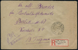 Berlin W 8 1922 (28.1.) Sowjet. 2K: KAMENEZ + Deutscher RZ: Vom Ausland/über Berlin W 8 (hs. R-Vermerk) An Dr. M. Brende - Autres & Non Classés