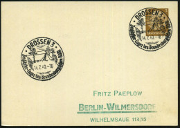 DROSSEN 3/ Zeuschtsee-Lager Des Brandenbg.BDM 1940 (13.7.) SSt = (HJ)-BDM-Lager (Zelt Am Waldsee) Klar Gest. Inl.-Karte  - Andere & Zonder Classificatie