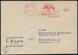 BERNBURG/ SAATZUCHTWIRTSCHAFT/ C.BRAUNE GmBH.. 1946 (8.6.) Seltener, Total Apzierter AFS Francotyp = Wertrahmen Kompl. E - Other & Unclassified