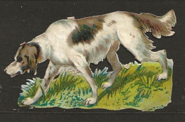 Découpis Gaufrée Chien Année 1900 - Animali