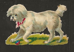 Découpis Gaufrée Chien Année 1900 - Dieren