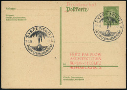 SYRAU (VOGTL)/ TROPFSTEIN U.SEENHÖHLE 1928 (15.9.) Seltener 1HWSt = Tropfsteinhöhle, Klar Gest. Inl.-Karte (Bo.1, Erstja - Other & Unclassified