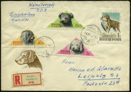 UNGARN 1956 (27.3.) Ungarische Hirtenhunde 40 F., 60 F., 2 Ft. = Satzhöchstwert + 1 Ft. Jagdhund Auf Passendem SU. (Jagd - Dogs