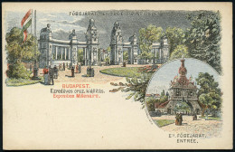 UNGARN 1896 Sonder-P. 5 F. Rot: Ausstellung Jahrtausendfeier (Portale, Flagge) Ungebr., (Mi.P 21) - INTERNATIONALE IN- & - Autres