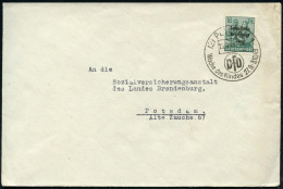 (2) POTSDAM 1/ DFD/ Woche Des Kindes 1948 (23.9.) Seltener HWSt = D Emokrat. Frauenbund Deutschlands, Klar Gest. Bedarfs - Other & Unclassified