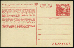 TSCHECHOSLOWAKEI 1919 Sonder-P. 20 H. Hradschin, Rot: The American Relief Administration For Czechoslovakia.. = US.-Kind - Autres & Non Classés