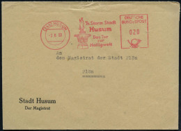 (24b) HUSUM/ Th.Storm Stadt/ Das Tor/ Zur/ Halligwelt 1953 (3.6.) AFS Postalia (Asmussen-Waldsen-Brunnen) Kommunalbf, (D - Escritores