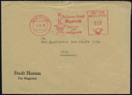 (24b) HUSUM/ Th.Storm Stadt/ Das Tor/ Zur/ Halligwelt 1953 (3.6.) AFS Postalia (Asmussen-Waldsen-Brunnen) Kommunalbf, (D - Ecrivains