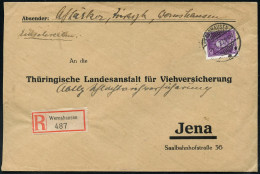 DEUTSCHES REICH 1927 (15.7.) 40 Pf. G. W. Leibnitz = Philosoph, Mathematiker, Erfinder Der Rechenmaschine (Theorie Des D - Other