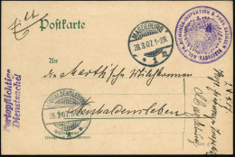 MAGDEBURG/ *1m 1907 (28.3.) 1K-Gitter + Viol. 2K-HdN: KGL. PR. AICHUNGS-INSPEKTION D. PROV. SACHSEN.. (Brustschild-Adler - Autres
