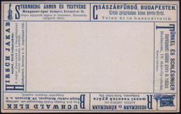 UNGARN 1892 Anzeigen-AP 2 F. Blau: STERNBERG.. Instrumente = Violine U.a. Reklame (Abb.: Feldbahn-Lore) Ungebr., Sehr Se - Musik