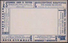 UNGARN 1892 Anzeigen-AP 2 F. Blau: STERNBERG.. Instrumente = Violine U.a. Reklame (Abb.: Feldbahn-Lore) Ungebr., Sehr Se - Musique
