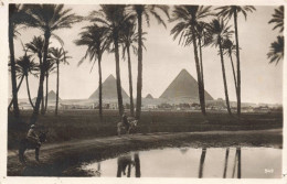 EGYPTE - Le Caire - Pyramides De Gizeh - Carte Postale Ancienne - El Cairo