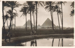 EGYPTE - Le Caire - Pyramides De Gizeh - Carte Postale Ancienne - Cairo