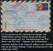 U.S.A. /  ARGENTINIEN 1963 (18.3.) Aerogramm 11 C., Gest. SPRING VALLEY, N.Y. An Den Leiter Der Antarktis-Station ISLAS  - Antarktis-Expeditionen