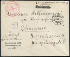 GNADENFREI/ *1a 1917 (8.10.) 1K-Gitter + Zensur-2K: Offizier-Gefangenenlager/Post-/Postprüfungsstelle/F.a./ Gnadenfrei + - Red Cross