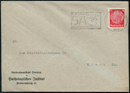 DRESDEN A1/ *III/ SA../ Berlin/ Reichswettkampf/ Führerappell 1938 (11.7.) MWSt (SA-Logo) Auf Dienst-Bf.: Landeshauptsta - Medizin