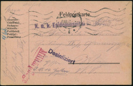 ÖSTERREICH 1915 (11.7.) Viol. 1L: K.u.k. Epidemiespital In Troppau + Viol. 1L:  D E S I N F I Z I E R T + 1L: Militärpfl - Enfermedades