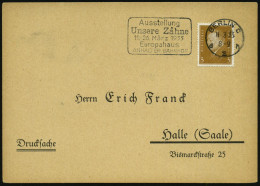 BERLIN C/ D2h/ Ausstellung/ Unsere Zähne/ ..Europahaus/ ANHALTER BAHNHOF 1933 (11.3.) Seltener MWSt Vom Eröffnungstag Kl - Medizin