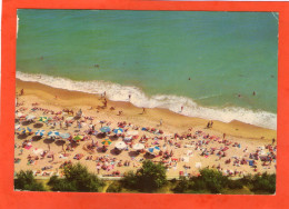 ZLATNI - Piasatzi - La Plage - - Bulgaria