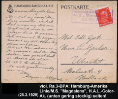 DEUTSCHES REICH 1929 (26.2.) Seltener Viol. Ra.3: Hamburg-Amerika-Linie/M.S. "Magdalena".. Klar Auf EF 15 Pf. Kant (Mi.3 - Maritiem