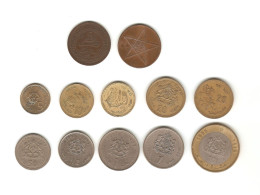 528/ Maroc : Lot De 12 Monnaies (toutes Différentes) - Maroc