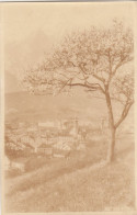 D4624) Alte FOTO AK -  HALL I. Tirol - Sehr Alte Ansicht über Die Stadt Mit Baum Im Vordergrund - Hall In Tirol