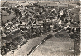 81. Gf. CASTELNAU-DE-MONTMIRAL. Vue Aérienne. 10336 - Castelnau De Montmirail