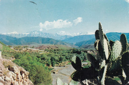 Alpinism 1983 Yugoslav Climbing Mountaineering Expedition Maroko Morocco '83 - Klimmen