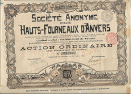 ACTION SOCIETE DES HAUTS FOURNEAUX DANVERS -BELGIQUE -ANNEE 1901 - Industrial