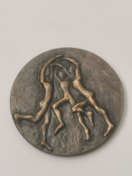 Luxembourg Médaille, Ministère De L'éducation Physique Et Sports, Champion 1988 - Otros & Sin Clasificación